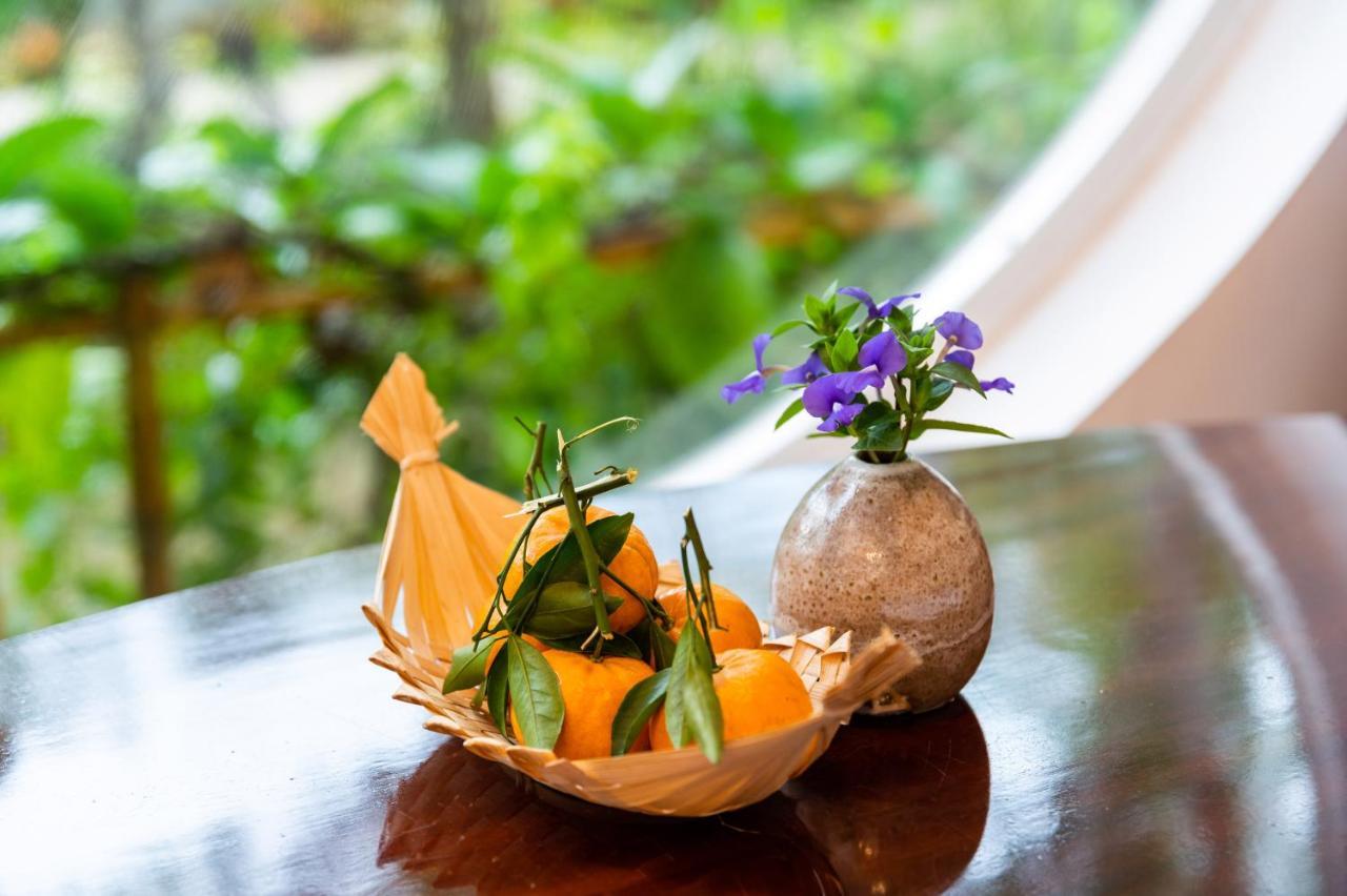 Binh Minh Eco Lodge كان ثو المظهر الخارجي الصورة